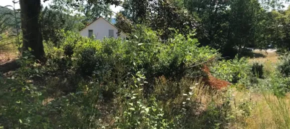  Land in Saarpfalz, Germany No. 10741 4