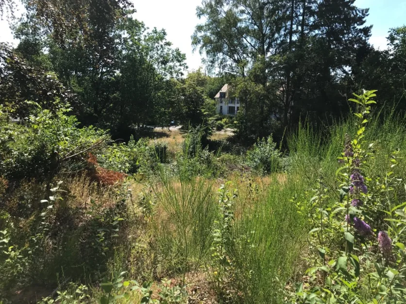  Land in Saarpfalz, Germany No. 10741