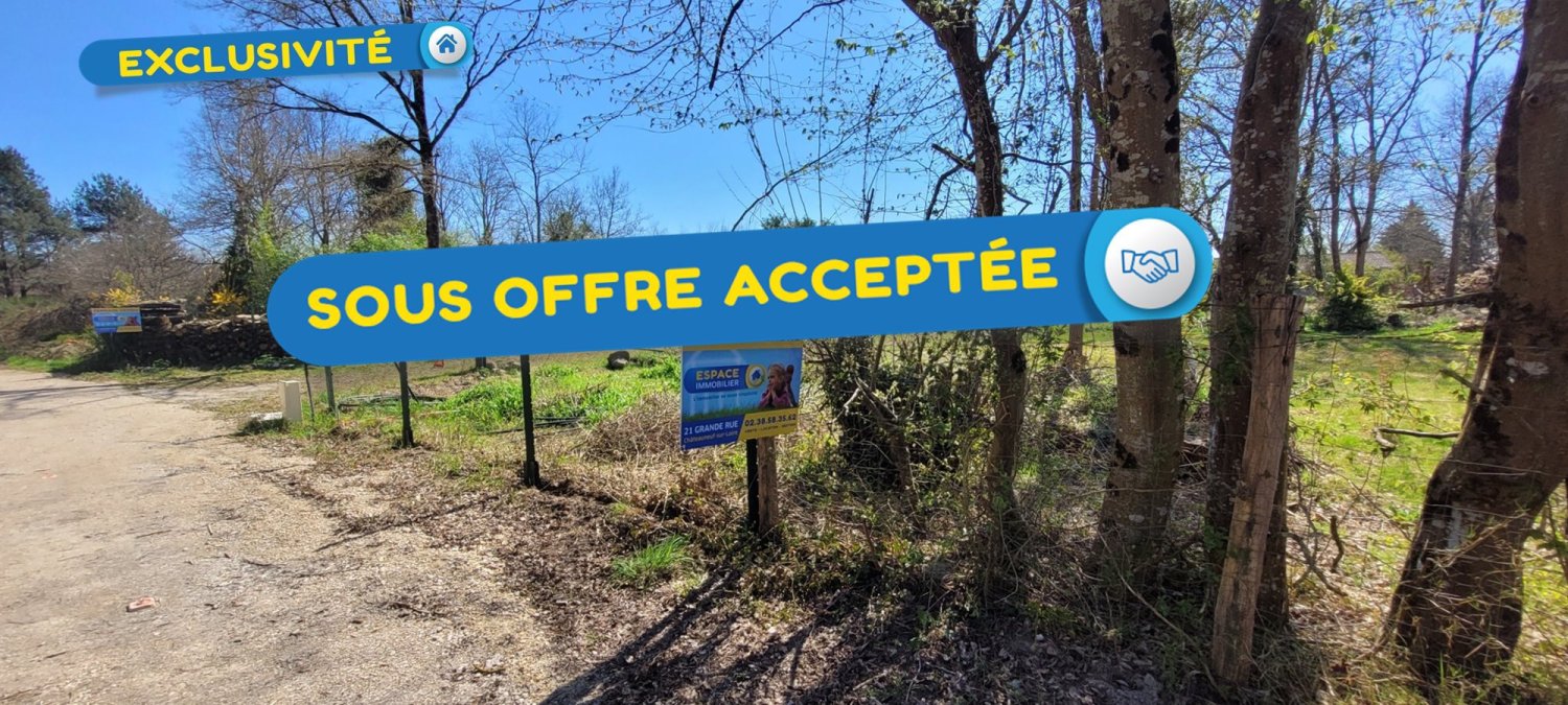  Land in Chateauneuf-sur-Loire, France No. 86813