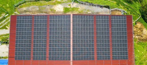 Terrain à Dalaas, Austria No. 13724 18