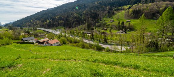 Terrain à Dalaas, Austria No. 13724 23