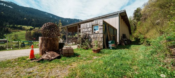 Terrain à Dalaas, Austria No. 13724 5