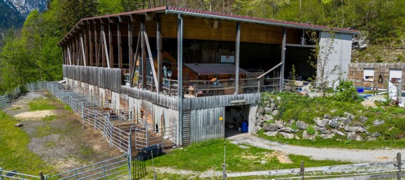 Terrain à Dalaas, Austria No. 13724 2