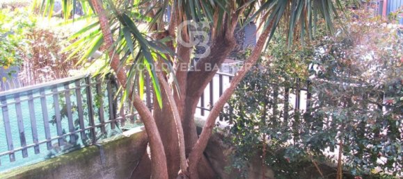 5-Zimmer Wohnung in San Gregorio di Catania, Italy, Nr. 64561 34