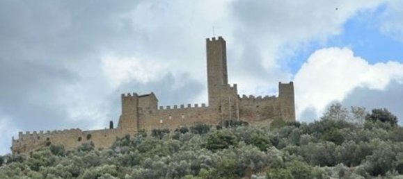 15 rooms Villa in Castiglion Fiorentino, Italy No. 62888 4