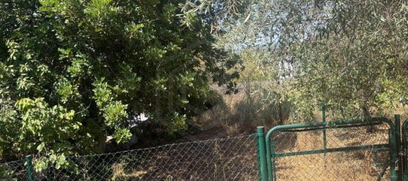 1 Schlafzimmer Haus in Loule, Portugal, Nr. 343392 18