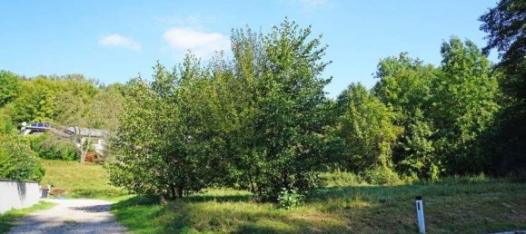 Земельный участок в Пресбаум, Австрия № 124639 2