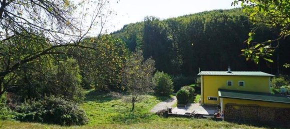 Земельный участок в Пресбаум, Австрия № 124639 8