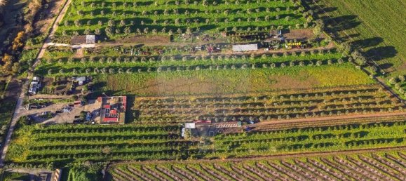 Дом с 3 спальнями в Голеган, Португалия № 70697 6