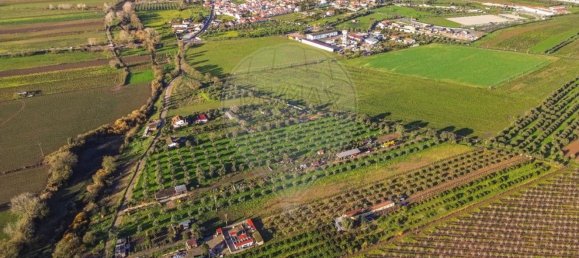 Дом с 3 спальнями в Голеган, Португалия № 70697 4