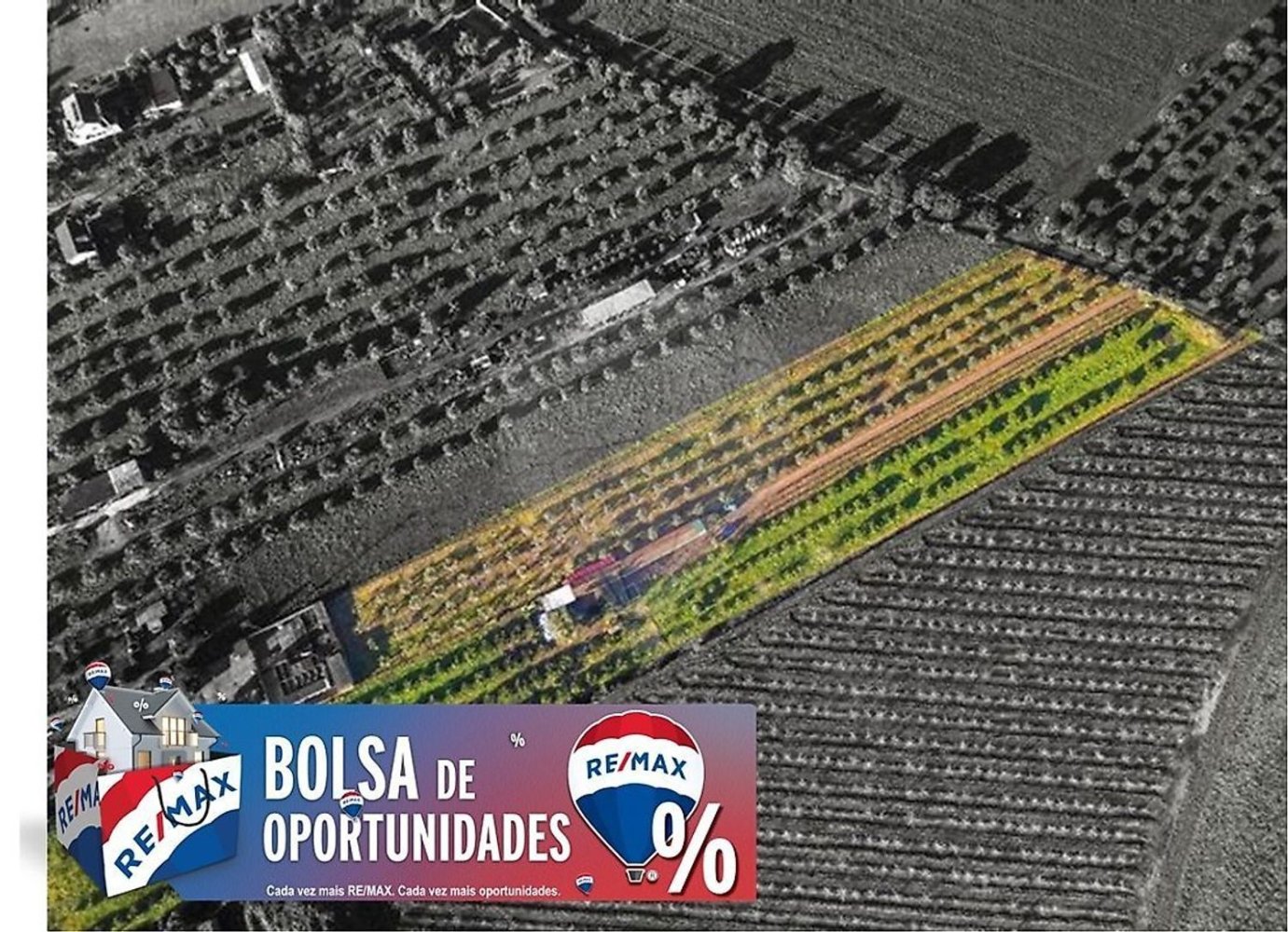 Дом с 3 спальнями в Голеган, Португалия № 70697