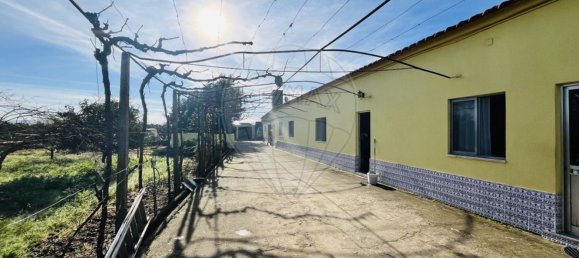 Дом с 3 спальнями в Голеган, Португалия № 70697 13