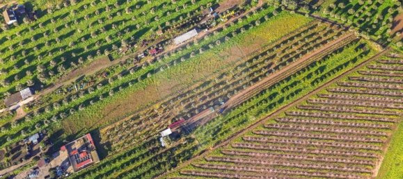 Дом с 3 спальнями в Голеган, Португалия № 70697 7