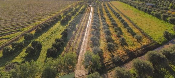 Дом с 3 спальнями в Голеган, Португалия № 70697 8