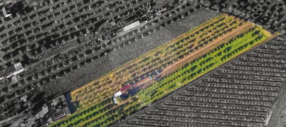 Дом с 3 спальнями в Голеган, Португалия № 70697 37