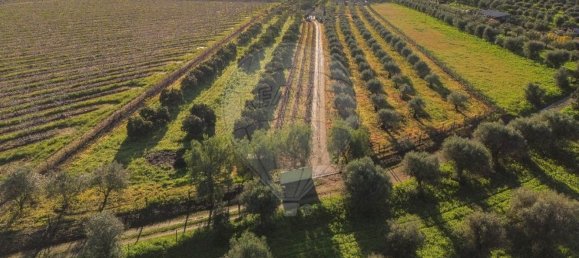 Дом с 3 спальнями в Голеган, Португалия № 70697 9