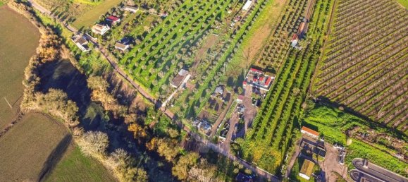 Дом с 3 спальнями в Голеган, Португалия № 70697 3