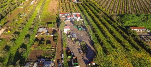 Дом с 3 спальнями в Голеган, Португалия № 70697 11