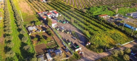 Дом с 3 спальнями в Голеган, Португалия № 70697 10