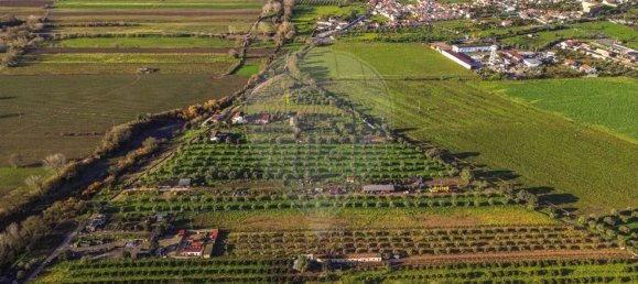 Дом с 3 спальнями в Голеган, Португалия № 70697 5