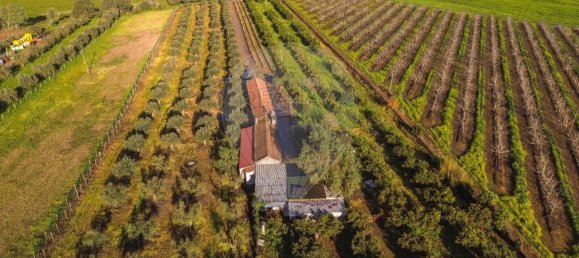 Дом с 3 спальнями в Голеган, Португалия № 70697 12