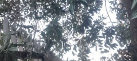 Квартира с 1 спальней в Колленьо, Италия № 261725 25