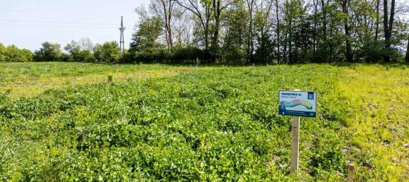  Land in Altheim, Austria No. 31950 4