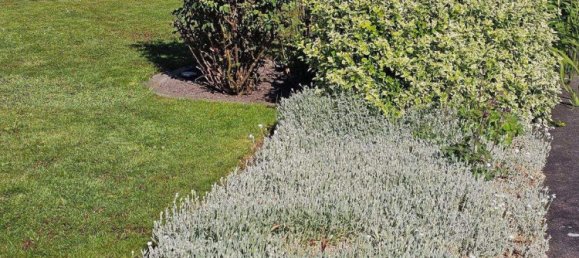 4غرفة منزل في Vorpommern-Greifswald, Germany رقم 337890 9