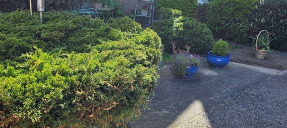 4غرفة منزل في Vorpommern-Greifswald, Germany رقم 337890 6