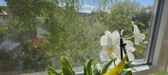 4غرفة منزل في Vorpommern-Greifswald, Germany رقم 337890 24