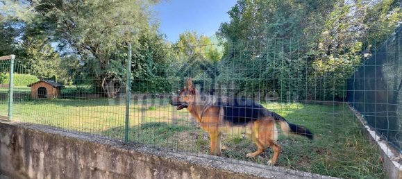 2 bedrooms Apartment in San Bassano, Italy No. 81361 15