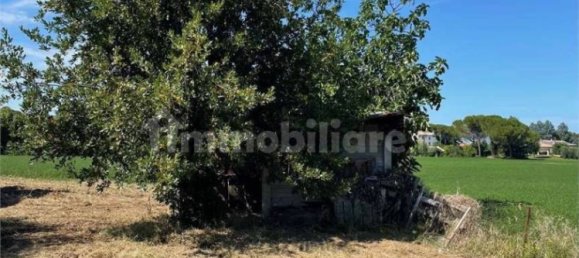 4 chambres Villa à Santarcangelo di Romagna, Italy No. 285317 3