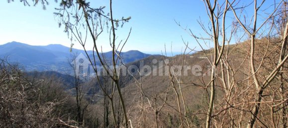 1 bedroom Apartment in Genoa, Italy No. 291686 6