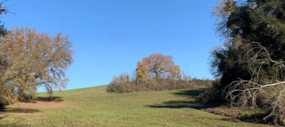 6 bedrooms Villa in Rome, Italy No. 99455 4