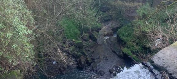 6 bedrooms Villa in Rome, Italy No. 99455 8