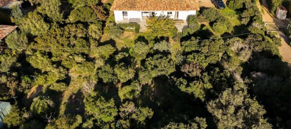 Villa T3 em Lecci, France N.º 45484 33