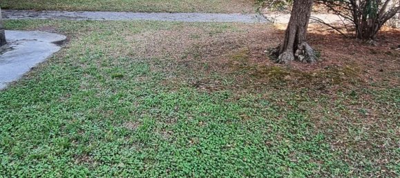 8-salle Villa à Padenghe sul Garda, Italy No. 311879 16