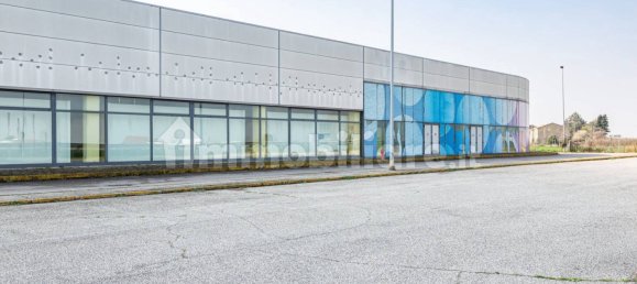 5 rooms Commercial property in Isola Rizza, Italy No. 157369 2