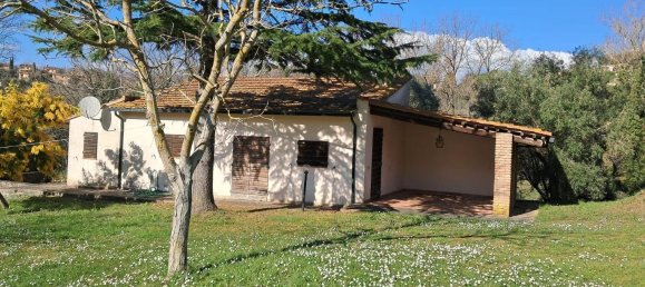 4 bedrooms House in Montescudaio, Italy No. 52319 19