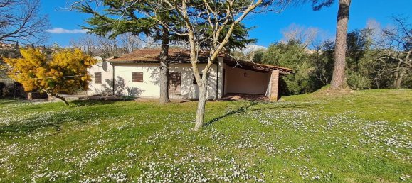 4 bedrooms House in Montescudaio, Italy No. 52319 3