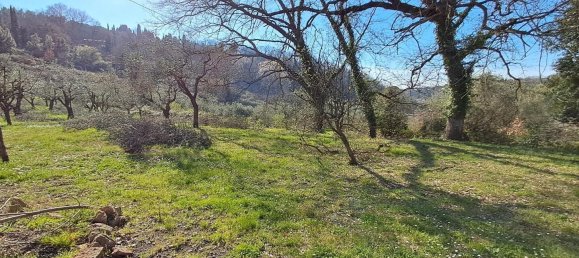 4 bedrooms House in Montescudaio, Italy No. 52319 6