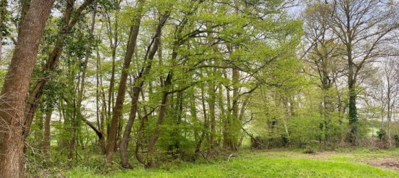 4 Schlafzimmer Haus in Breval, France, Nr. 348782 5
