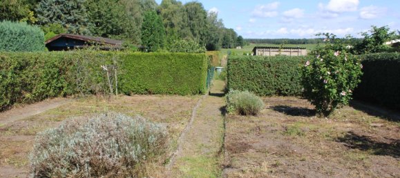 3 rooms Apartment in Nordsachsen, Germany No. 172607 6