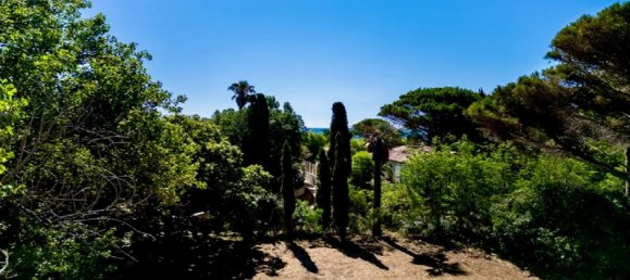 Villa à Ramatuelle, France 1380m² No. 913 4