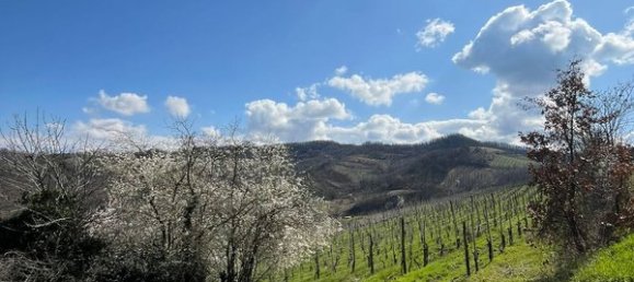 4-Zimmer Haus in Codevilla, Italy, Nr. 63348 2