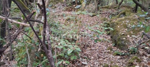 Земельный участок 2800м² в Искья, Италия № 325181 8