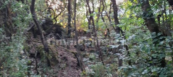 Земельный участок 2800м² в Искья, Италия № 325181 7