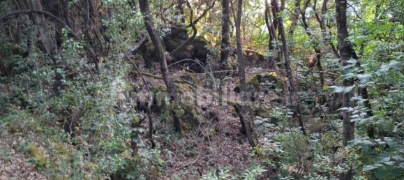 Земельный участок 2800м² в Искья, Италия № 325181 3