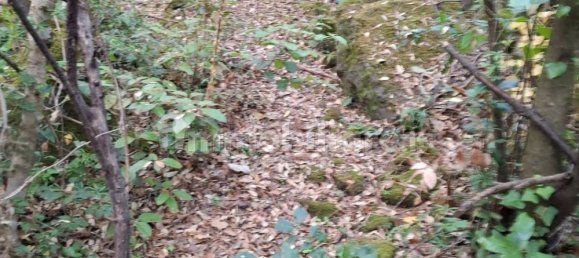 Земельный участок 2800м² в Искья, Италия № 325181 2