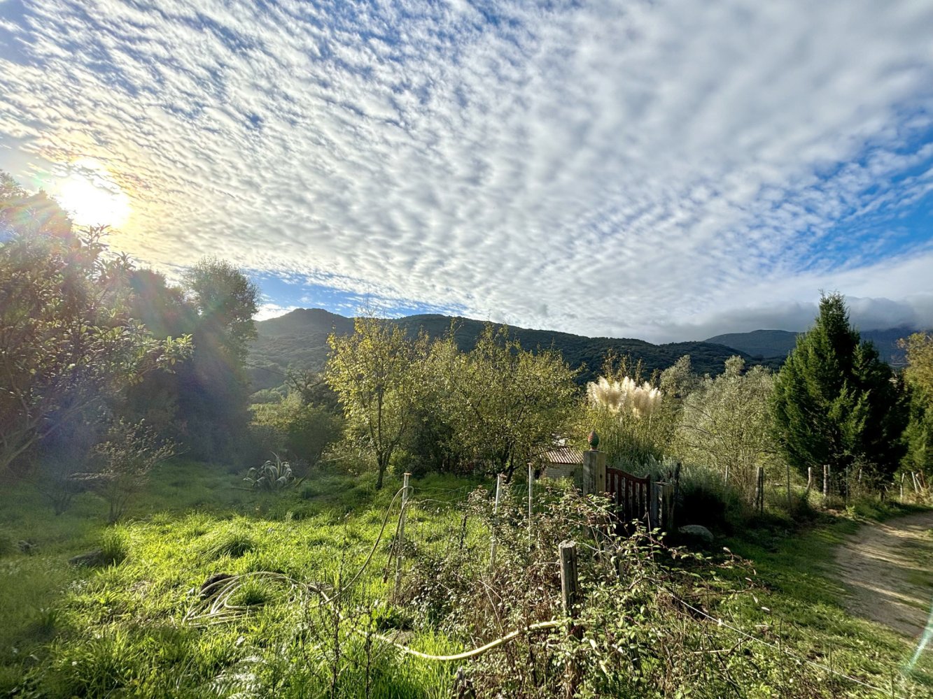  Land in Forciolo, France No. 234015